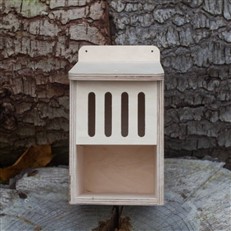 Bug Box Wooden Self Assembly Insect House